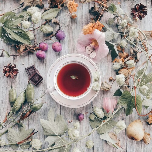 lidiya-pavlikova-y_gKWLrw3N4-unsplash